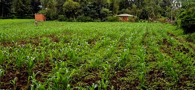 Prime 5 Acres Land for Sale in Kapseret Eldoret - Image 8