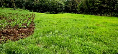 Prime 5 Acres Land for Sale in Kapseret Eldoret - Image 4