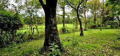 Prime 5 Acres Land for Sale in Kapseret Eldoret - Image 9