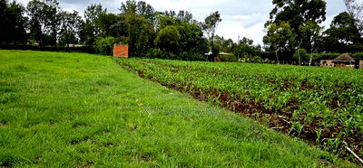Prime 5 Acres Land for Sale in Kapseret Eldoret - Image 1