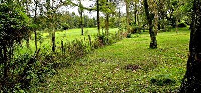 Prime 5 Acres Land for Sale in Kapseret Eldoret - Image 11