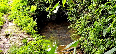 Prime 5 Acres Land for Sale in Kapseret Eldoret - Image 6