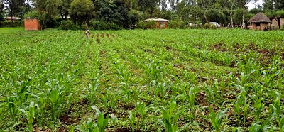 Prime 5 Acres Land for Sale in Kapseret Eldoret - Image 7