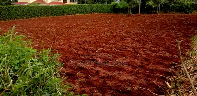 Residential Quarter Acre Plot in Kerarapon. Red Soil - Image 3