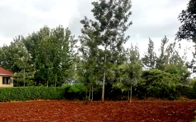 Residential Quarter Acre Plot in Kerarapon. Red Soil - Image 2