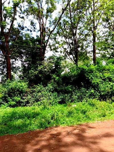 Thindigua Prime 2.25 Acres - Image 3