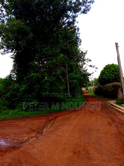 Thindigua Prime 2.25 Acres - Image 6