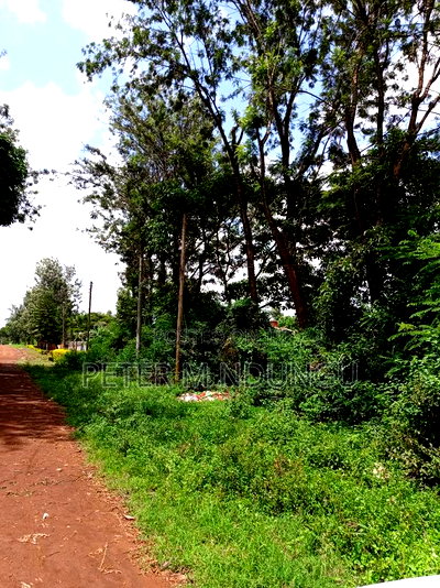 Thindigua Prime 2.25 Acres - Image 2