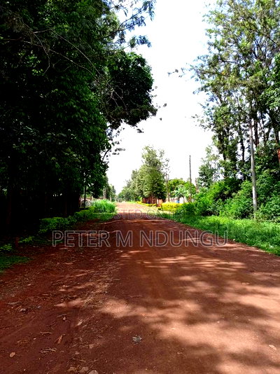 Thindigua Prime 2.25 Acres - Image 4