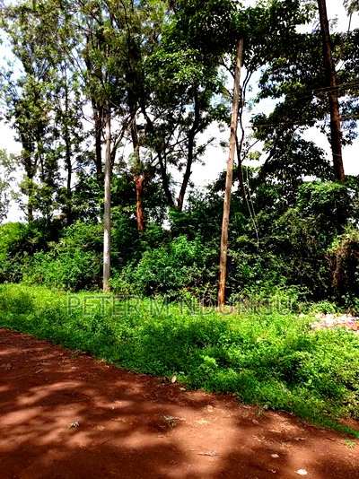 Thindigua Prime 2.25 Acres - Image 1