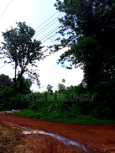 Thindigua Prime 2.25 Acres - Image 7
