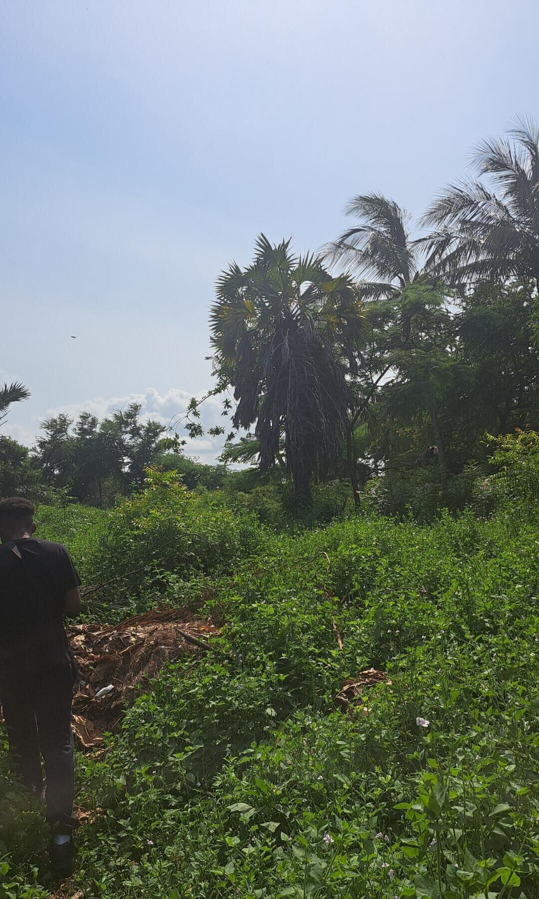 3/4 Acre Beachfront Land with Garden