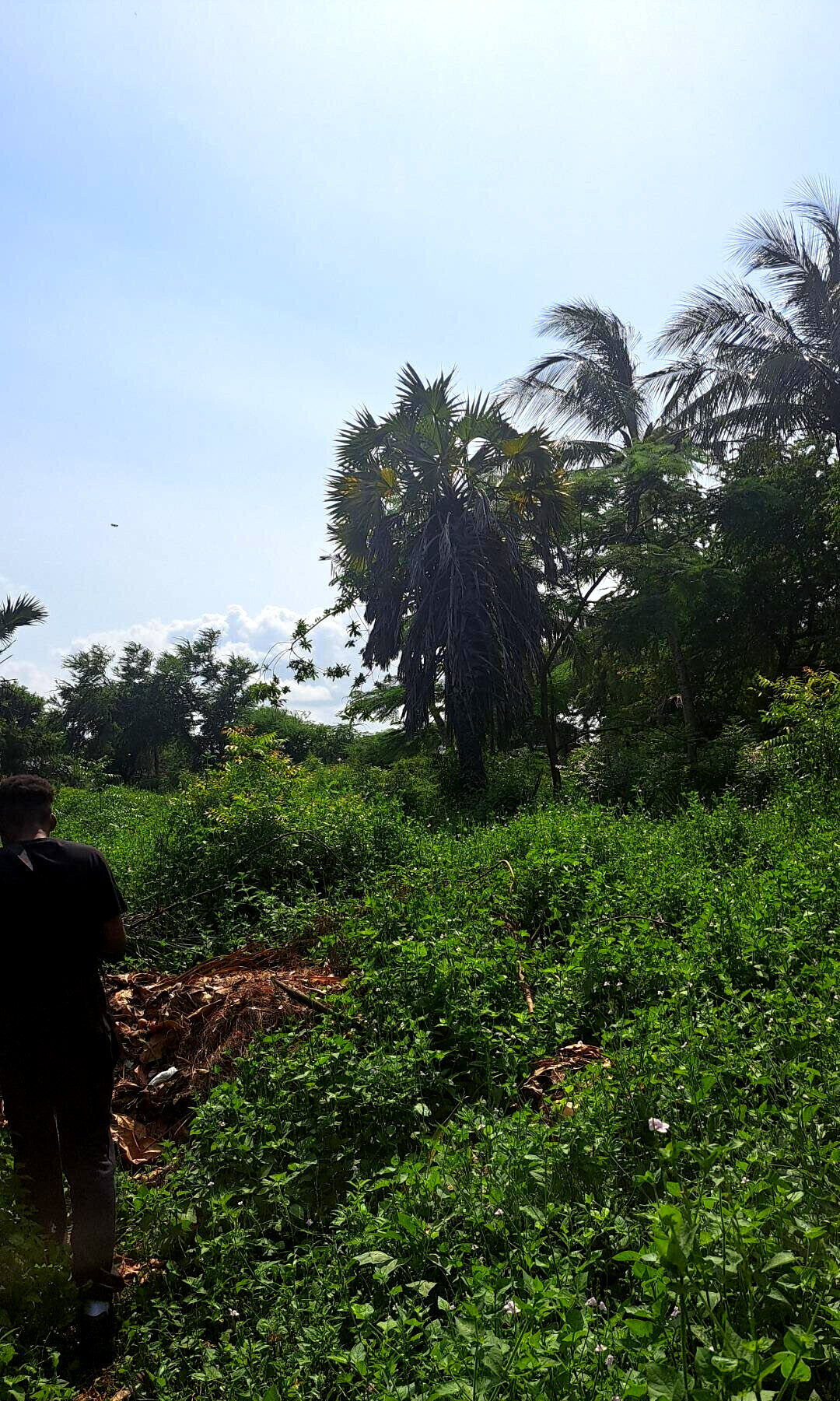 3/4 Acre Beachfront Land with Garden
