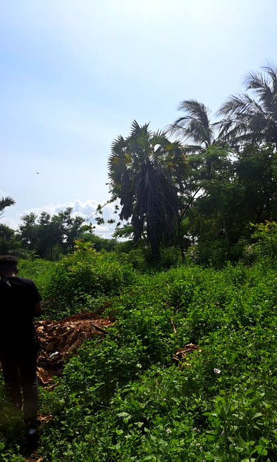 3/4 Acre Beachfront Land with Garden