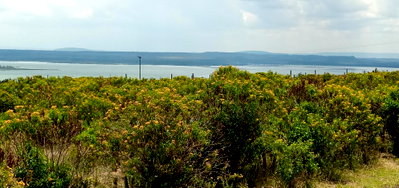 2.08-Acre Lake View Plot for KSh 16M