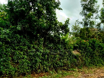 Residential Eighth Acre Plot in Ngong Matasia, Memusi - Image 5