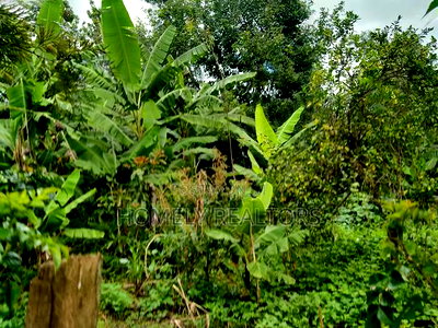 Residential Eighth Acre Plot in Ngong Matasia, Memusi - Image 8