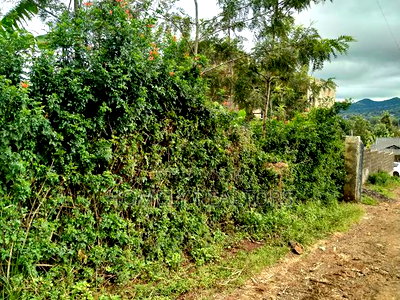 Residential Eighth Acre Plot in Ngong Matasia, Memusi - Image 6