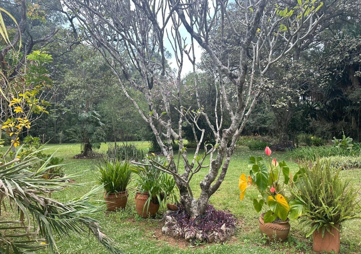5-Acre Garden Plot with Parking - Karen
