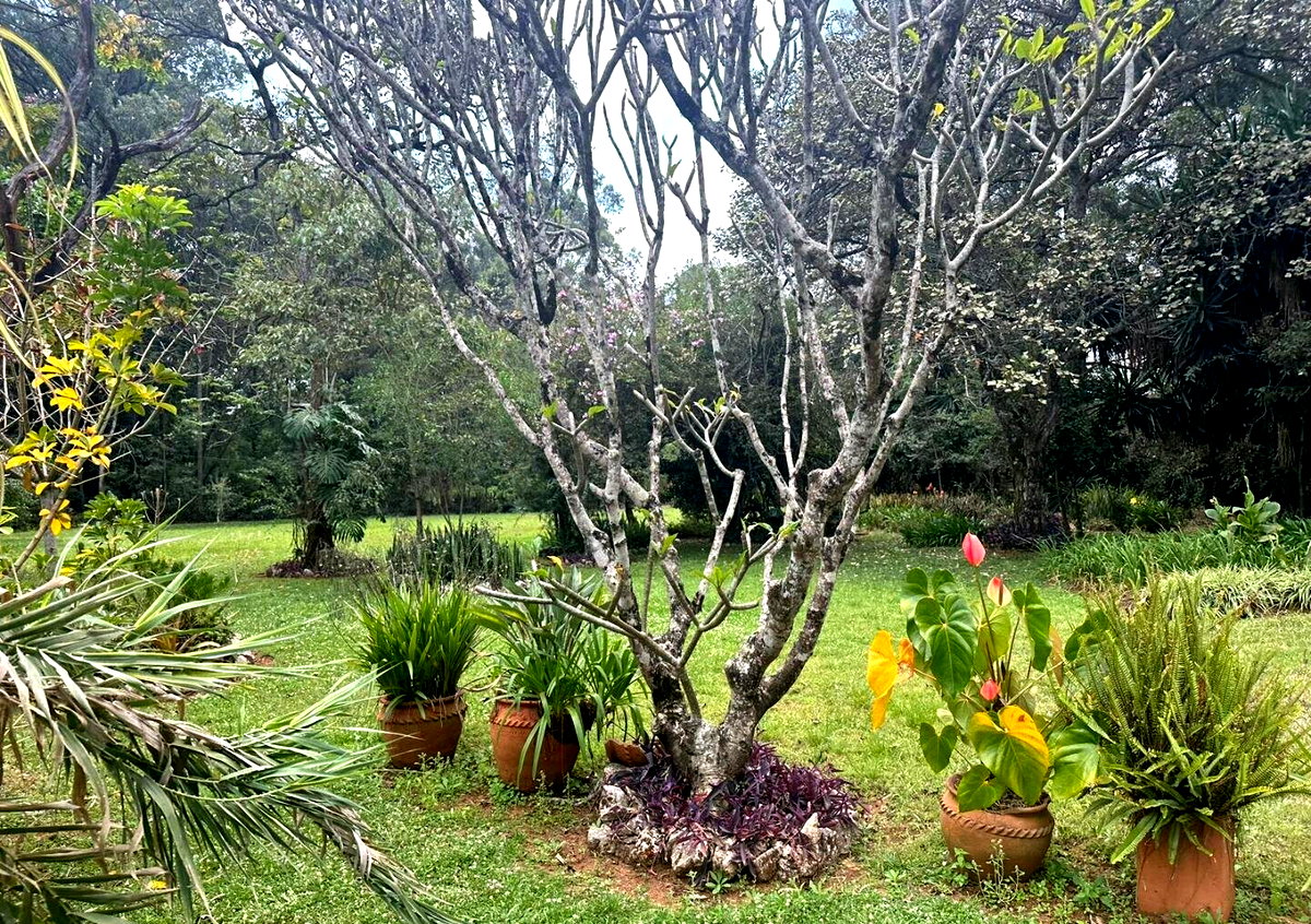 5-Acre Garden Plot with Parking - Karen
