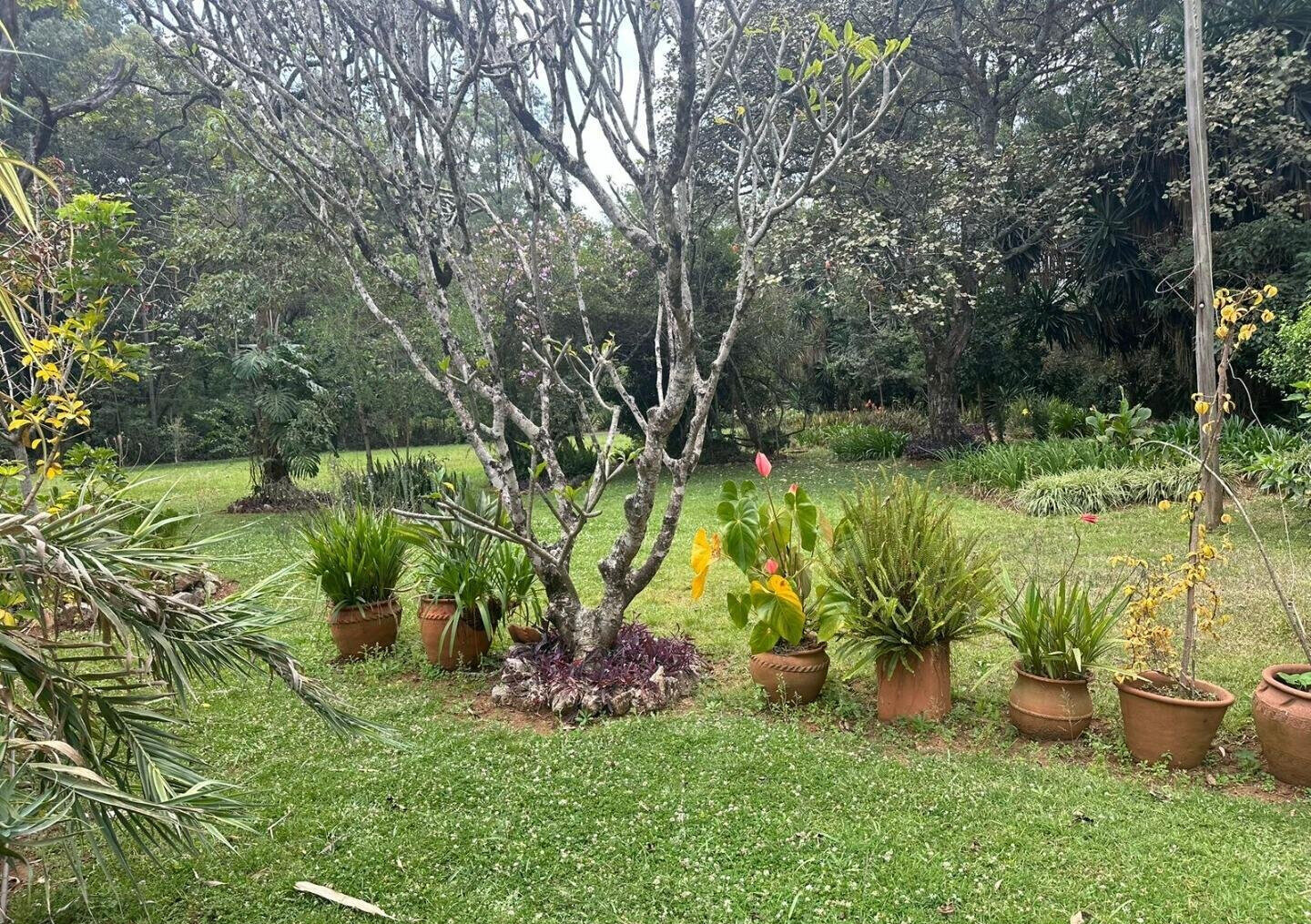 5-Acre Garden Plot with Parking - Karen