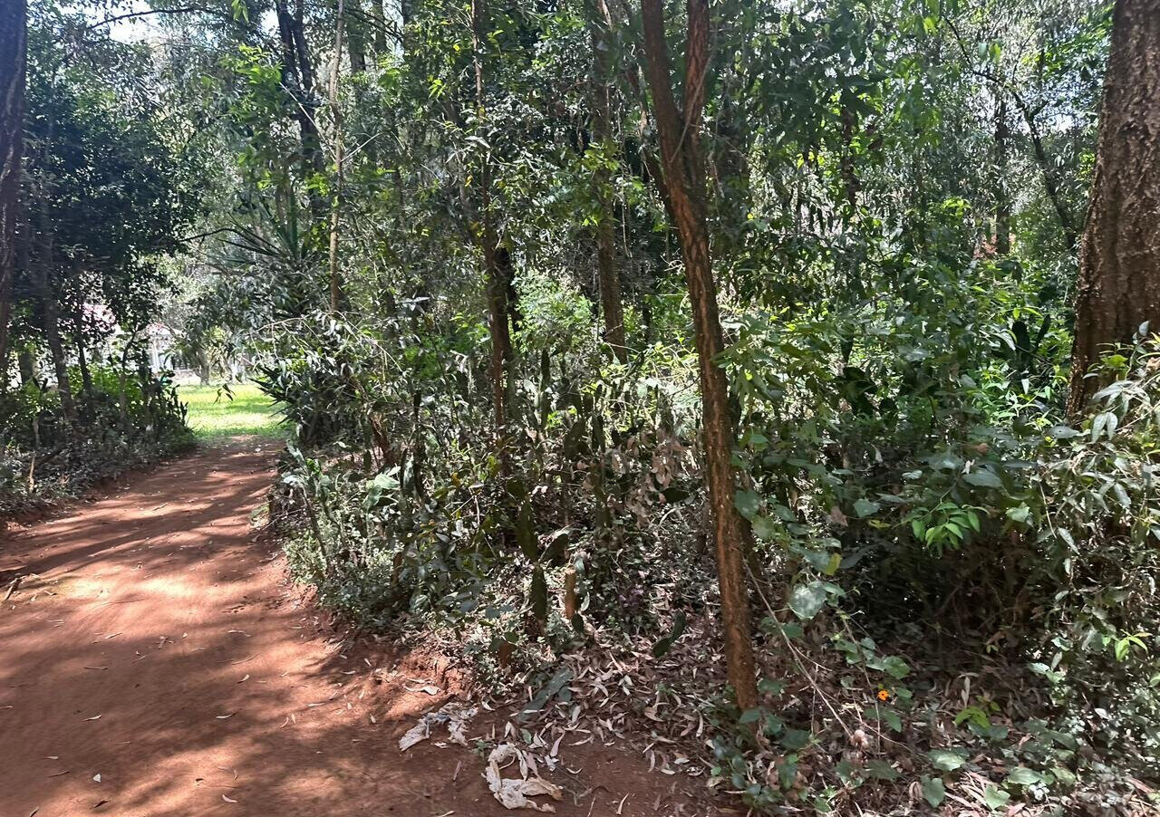 5-Acre Garden Plot with Parking - Karen