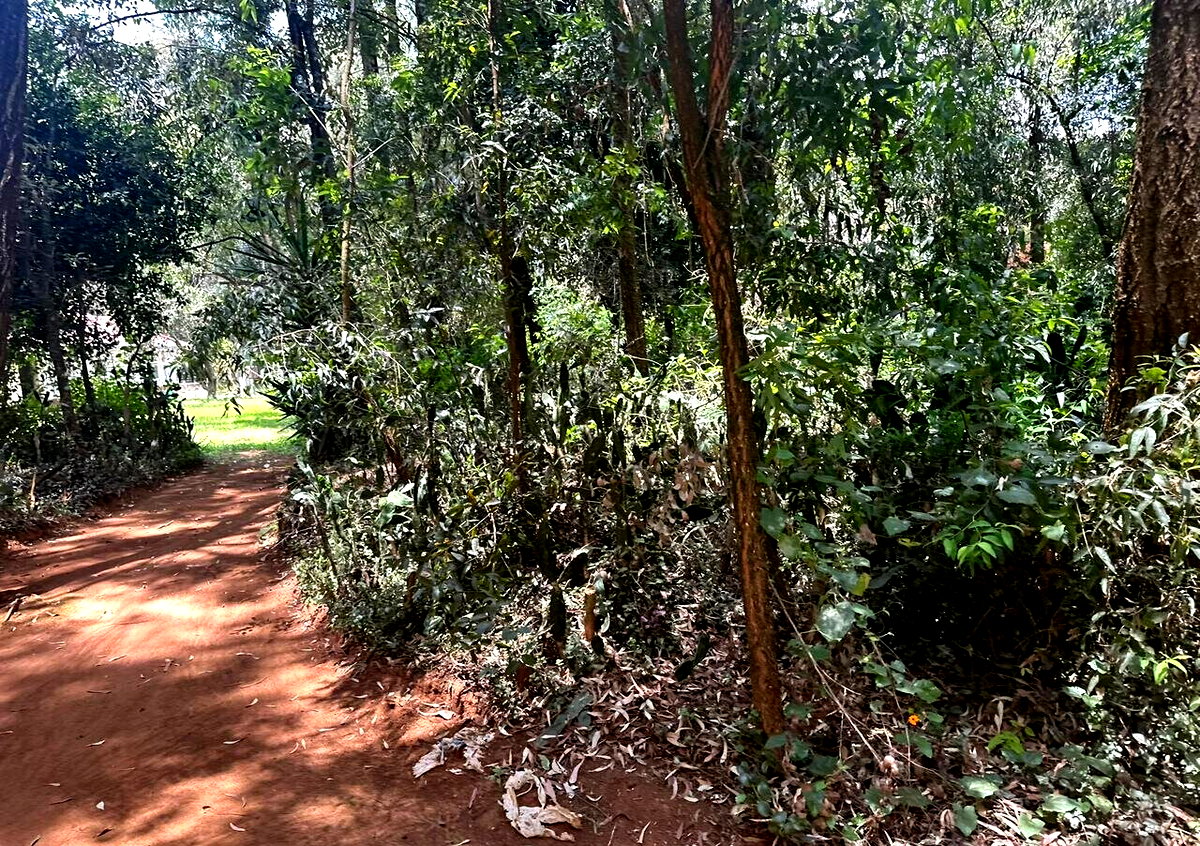5-Acre Garden Plot with Parking - Karen