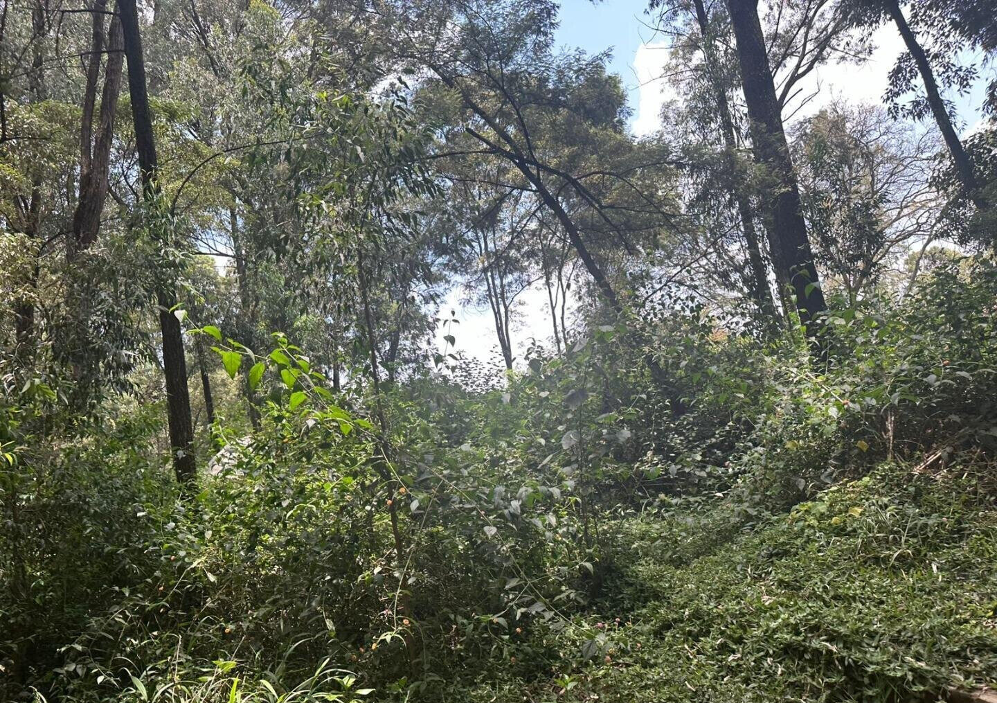 5-Acre Garden Plot with Parking - Karen