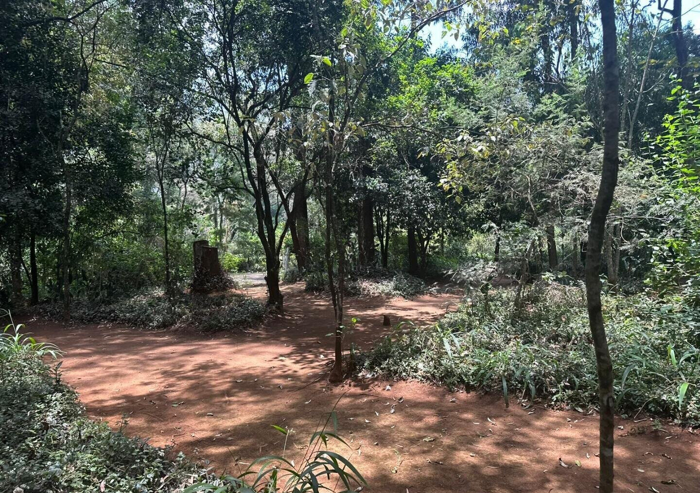 5-Acre Garden Plot with Parking - Karen