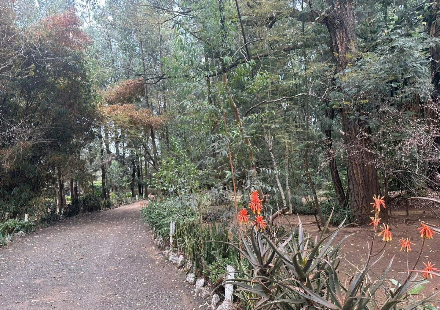 5-Acre Garden Plot with Parking - Karen