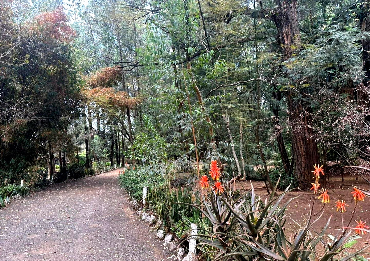 5-Acre Garden Plot with Parking - Karen