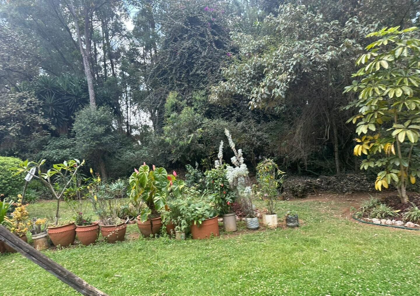 5-Acre Garden Plot with Parking - Karen