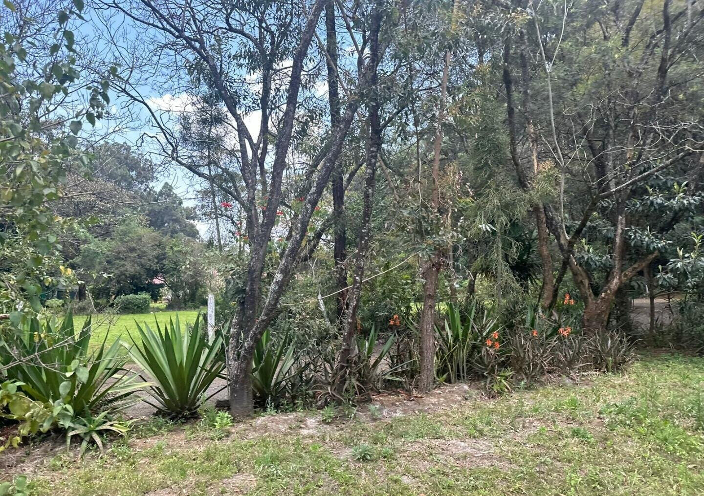 5-Acre Garden Plot with Parking - Karen