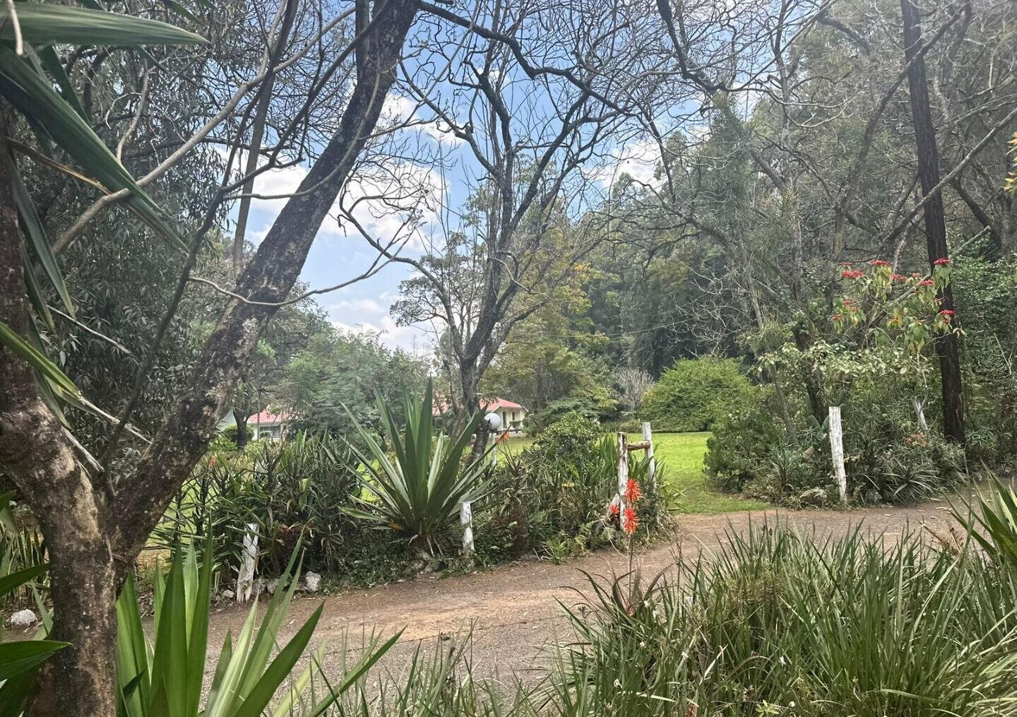 5-Acre Garden Plot with Parking - Karen