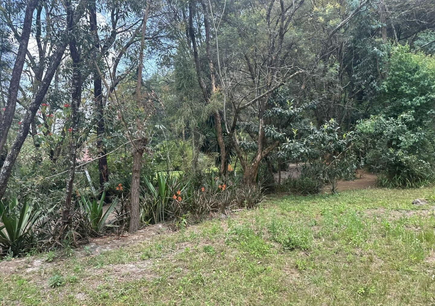 5-Acre Garden Plot with Parking - Karen