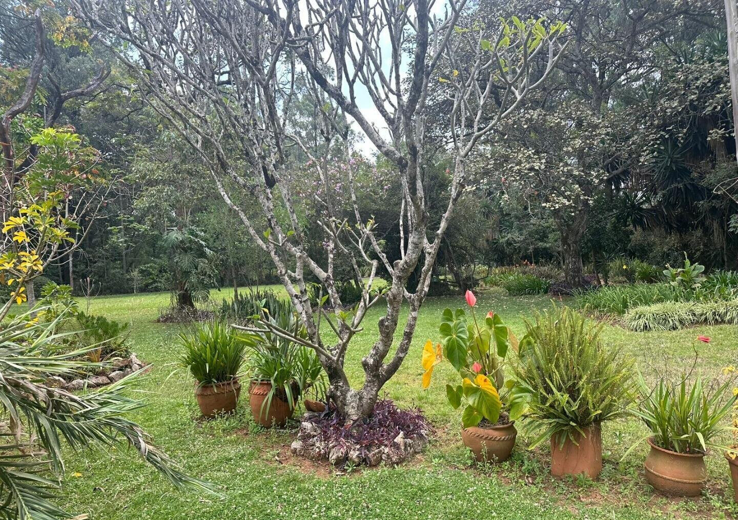 5-Acre Garden Plot with Parking - Karen