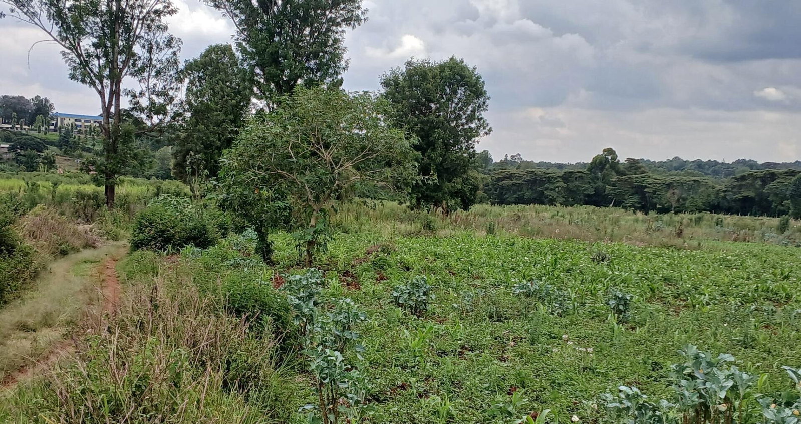 4141 Acres in Karen at KSh 500M