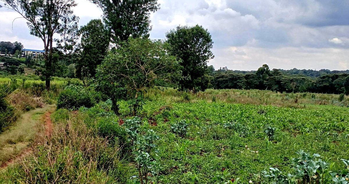 4141 Acres in Karen at KSh 500M