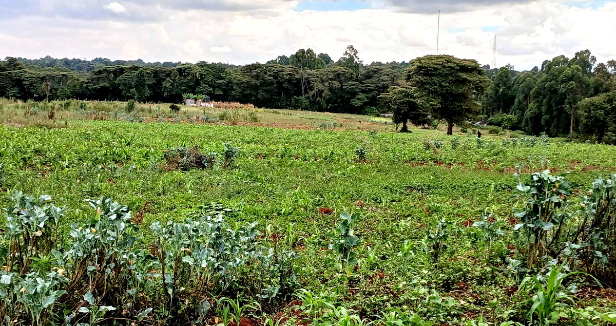4141 Acres in Karen at KSh 500M