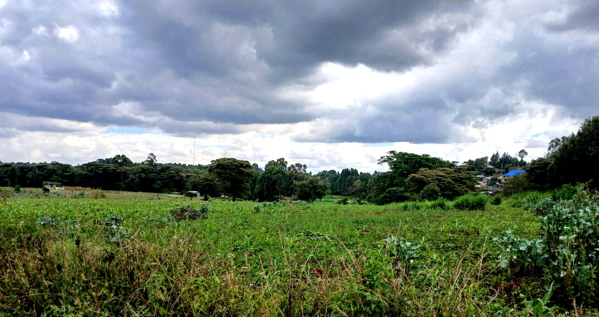 4141 Acres in Karen at KSh 500M