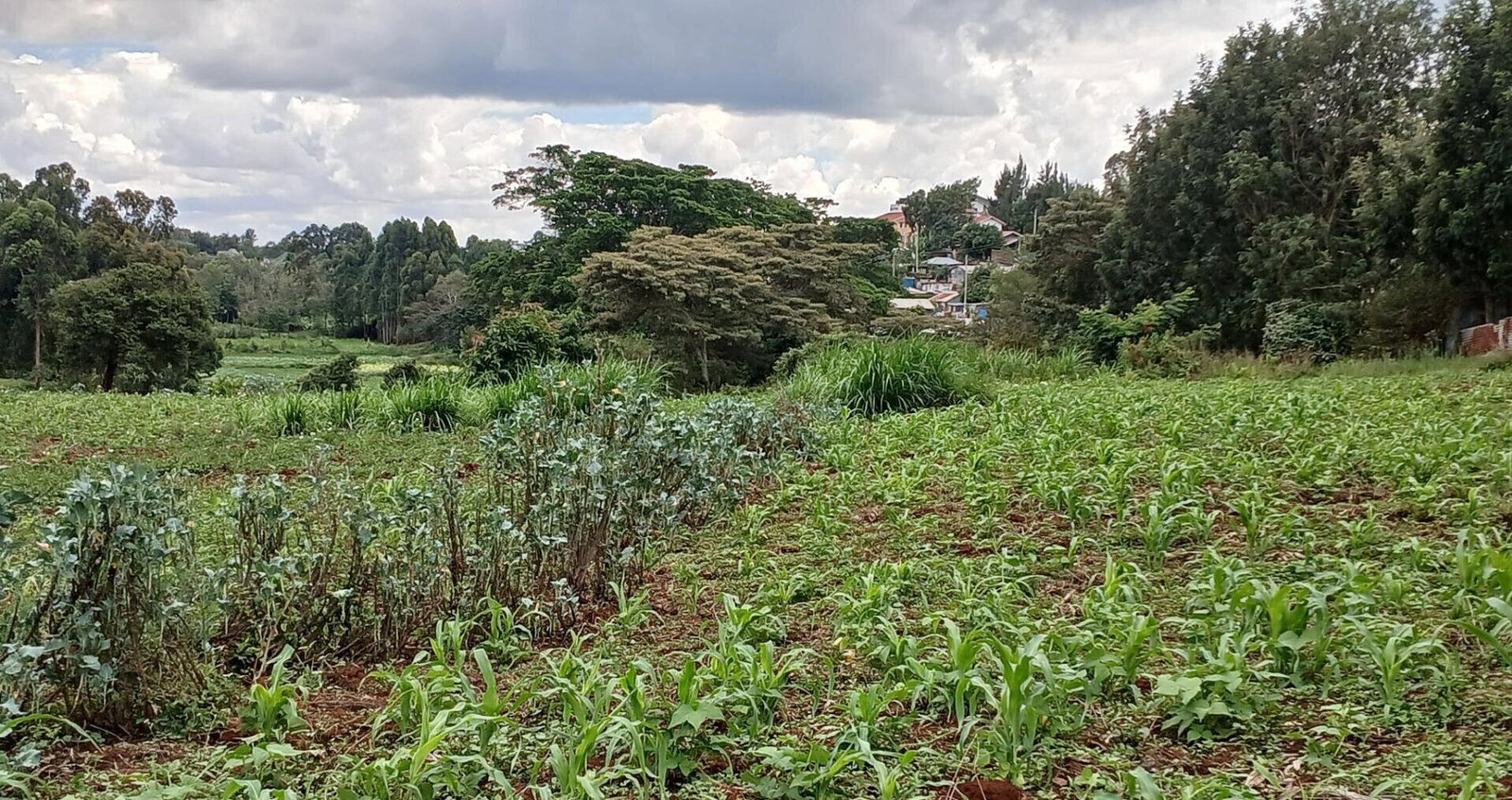 4141 Acres in Karen at KSh 500M