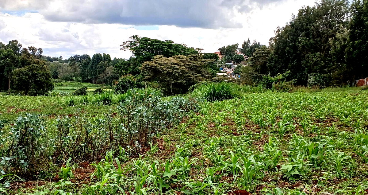 4141 Acres in Karen at KSh 500M