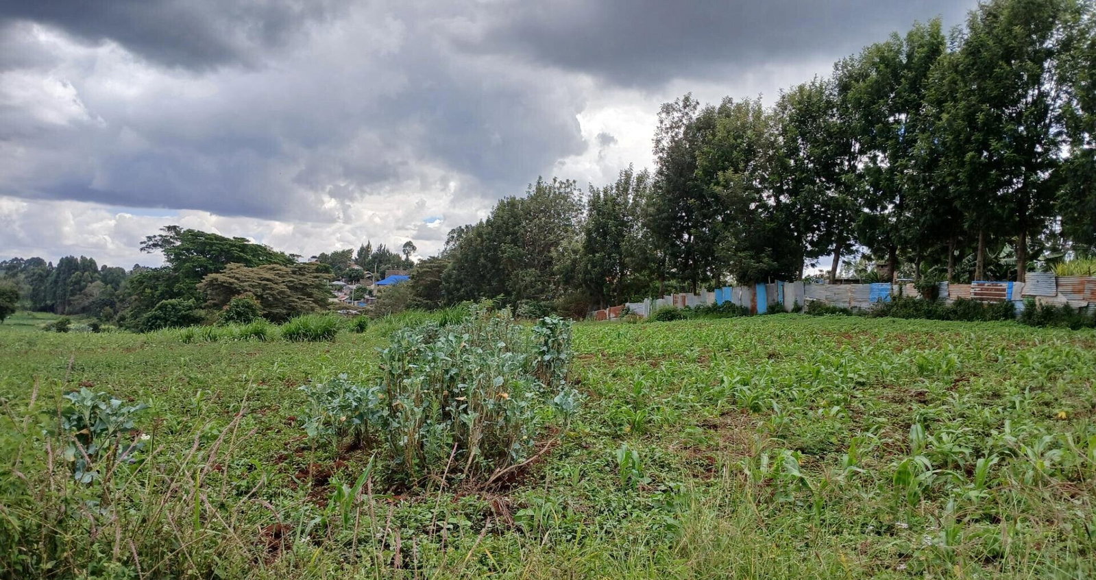 4141 Acres in Karen at KSh 500M