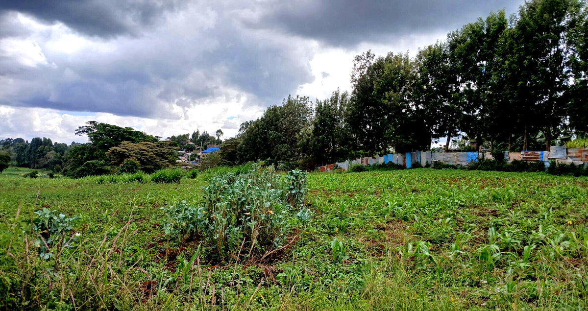 4141 Acres in Karen at KSh 500M
