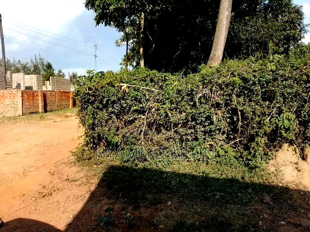 Ugunja Town Plot