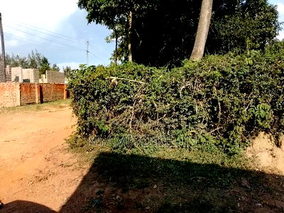 Ugunja Town Plot - Image 2