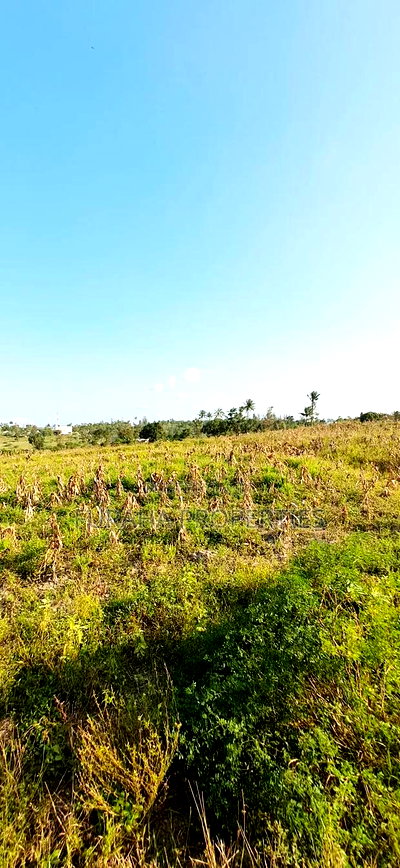 For Sale 10 Acres Prime Land Mariakani - Image 3