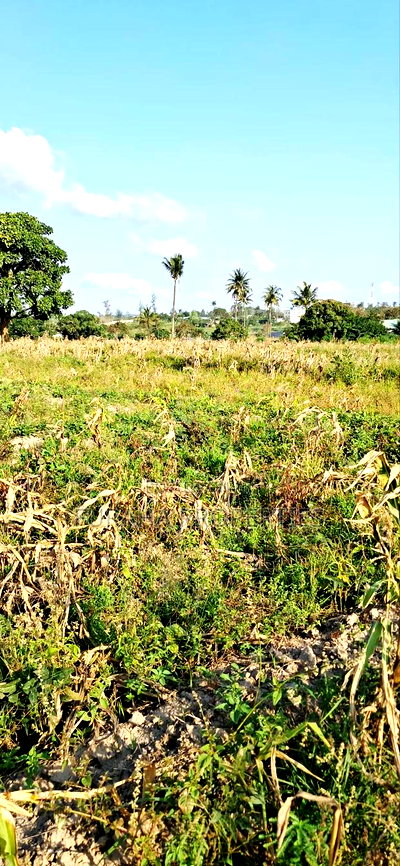 For Sale 10 Acres Prime Land Mariakani - Image 7