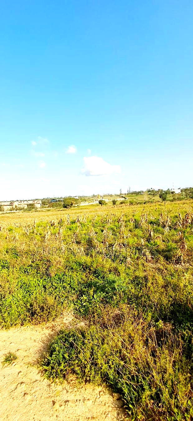 For Sale 10 Acres Prime Land Mariakani