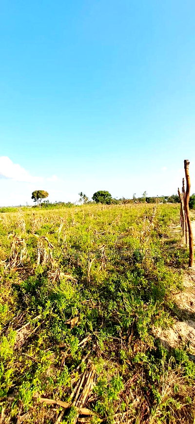 For Sale 10 Acres Prime Land Mariakani - Image 5